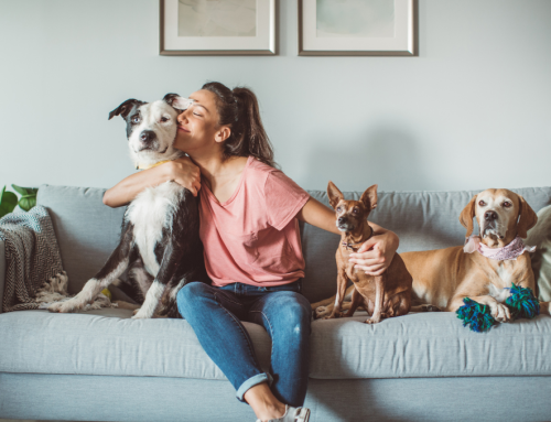 Paying Your Pet Sitter Over the Table